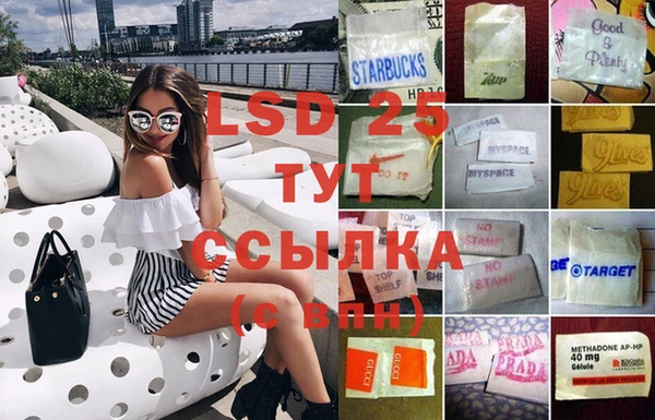 молекула духа Гусев