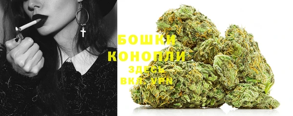 молекула духа Гусев