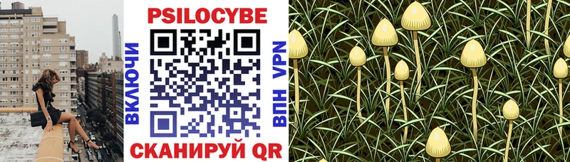 Галлюциногенные грибы прущие грибы  Купить закладки  Курганинск 
